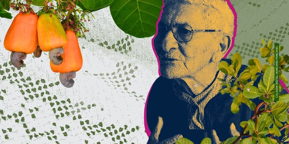 LABIRINTO: HISTÓRIA E ESTÓRIAS