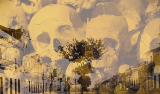 CÓLERA-MORBO: A EPIDEMIA EM ARACATI