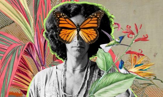 SOU CAETANO VELOSO