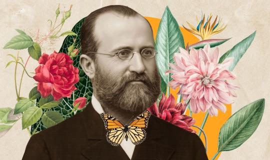 LIBERATO, O CONSELHEIRO DO IMPÉRIO